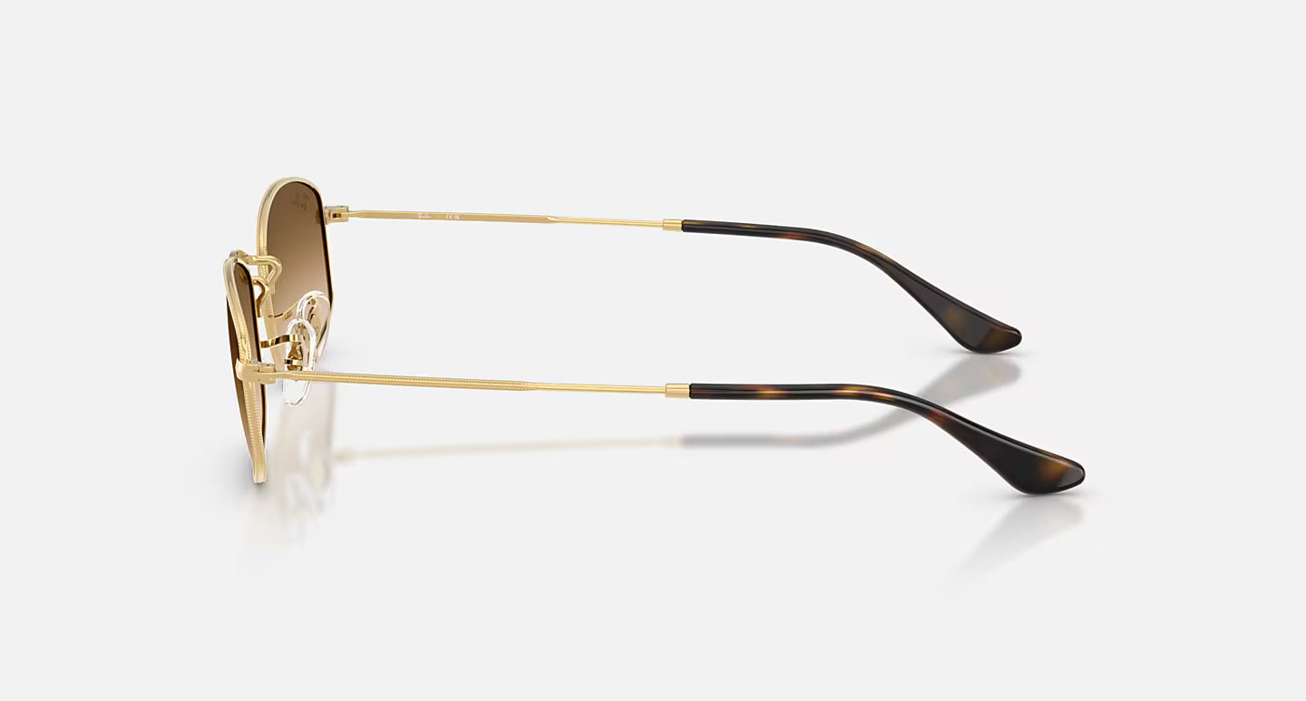 Rayban RB3832D
