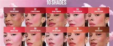 Maybelline Cloudtopia Blush for Cheeks and Lip Mousse