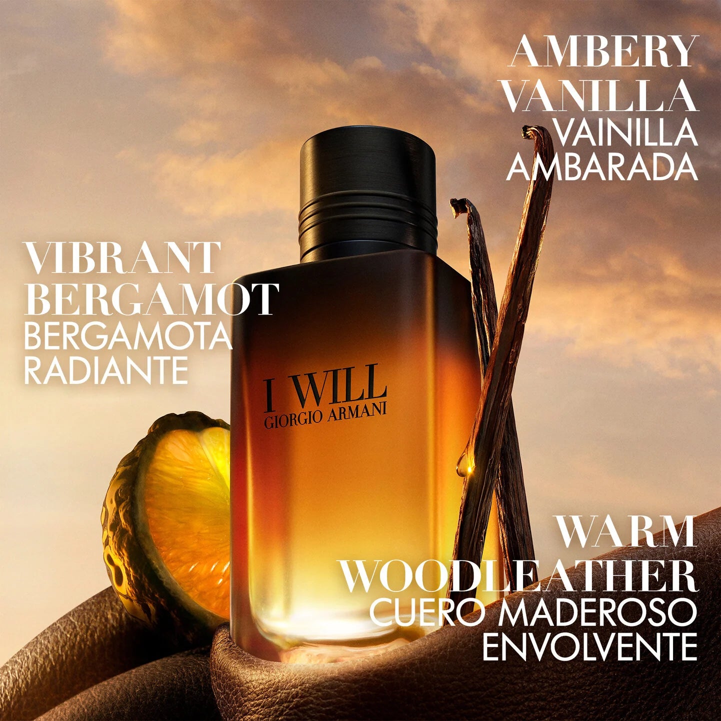 Giorgio Armani I Will Eau De Parfum 100ml