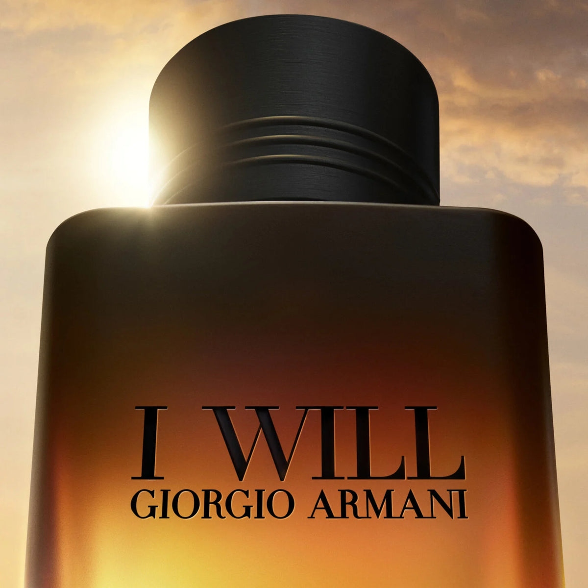 Giorgio Armani I Will Eau De Parfum 100ml