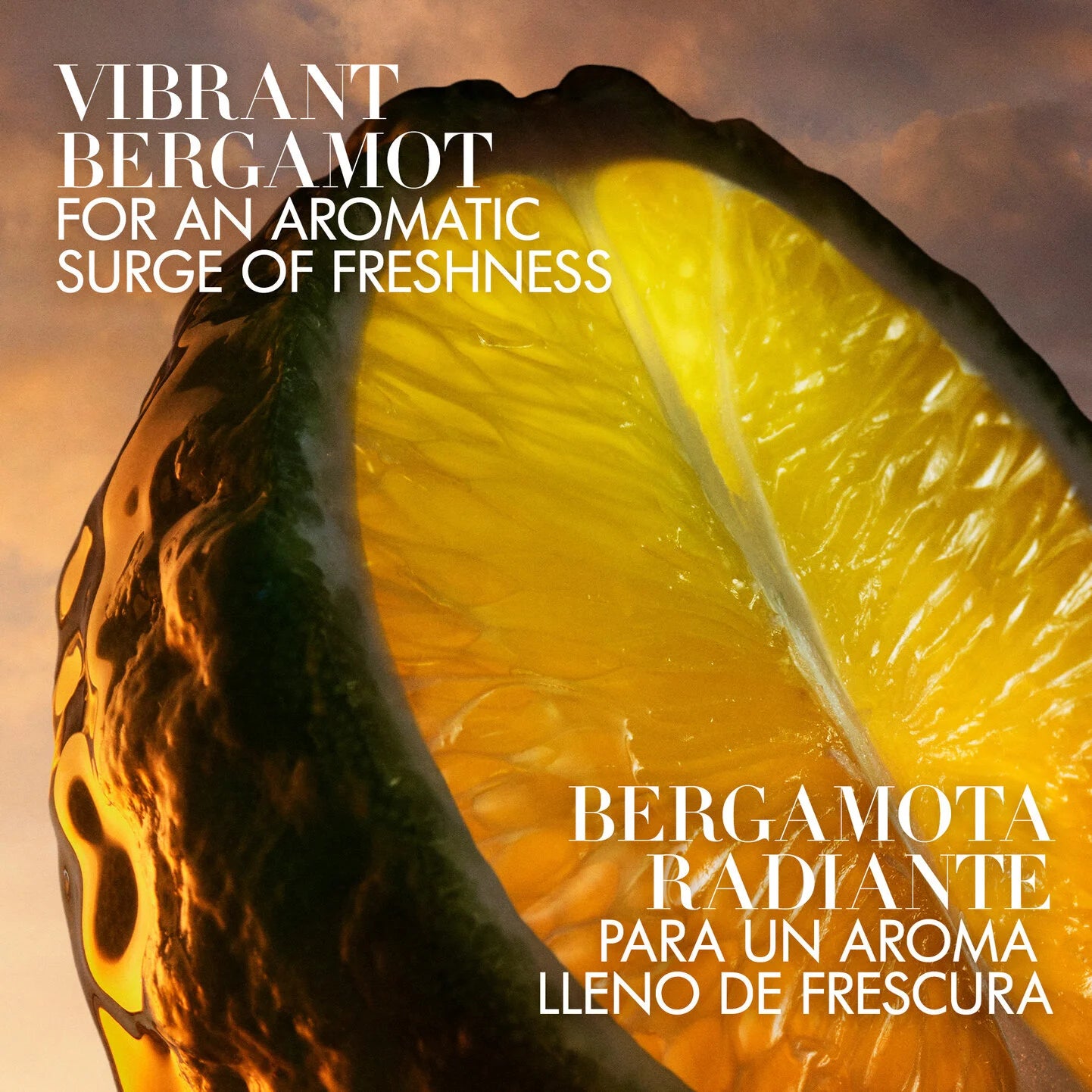 Giorgio Armani I Will Eau De Parfum 100ml