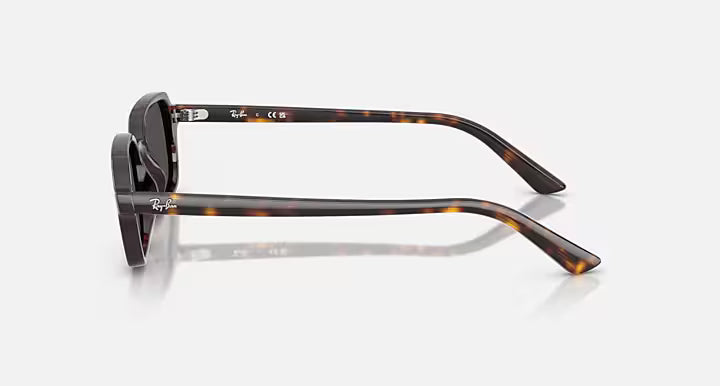 Rayban 4455