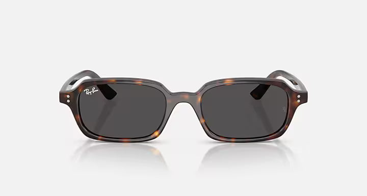 Rayban 4455