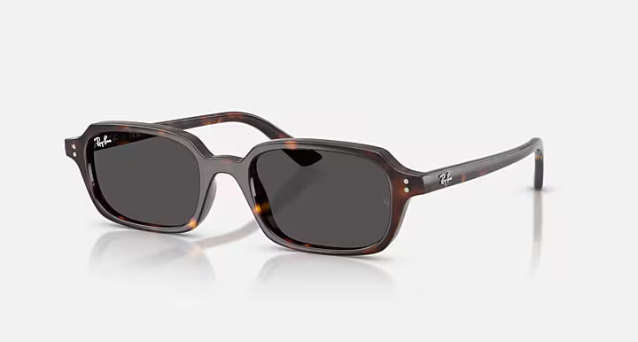 Rayban 4455
